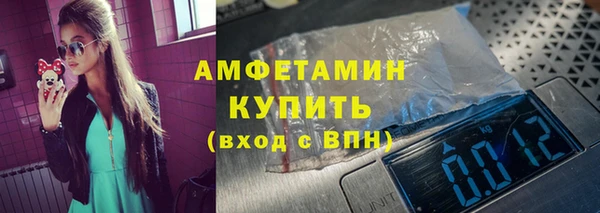 индика Дмитров