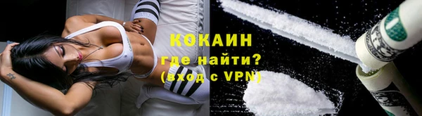 соль ск Дмитриев